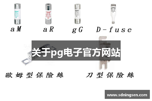关于pg电子官方网站